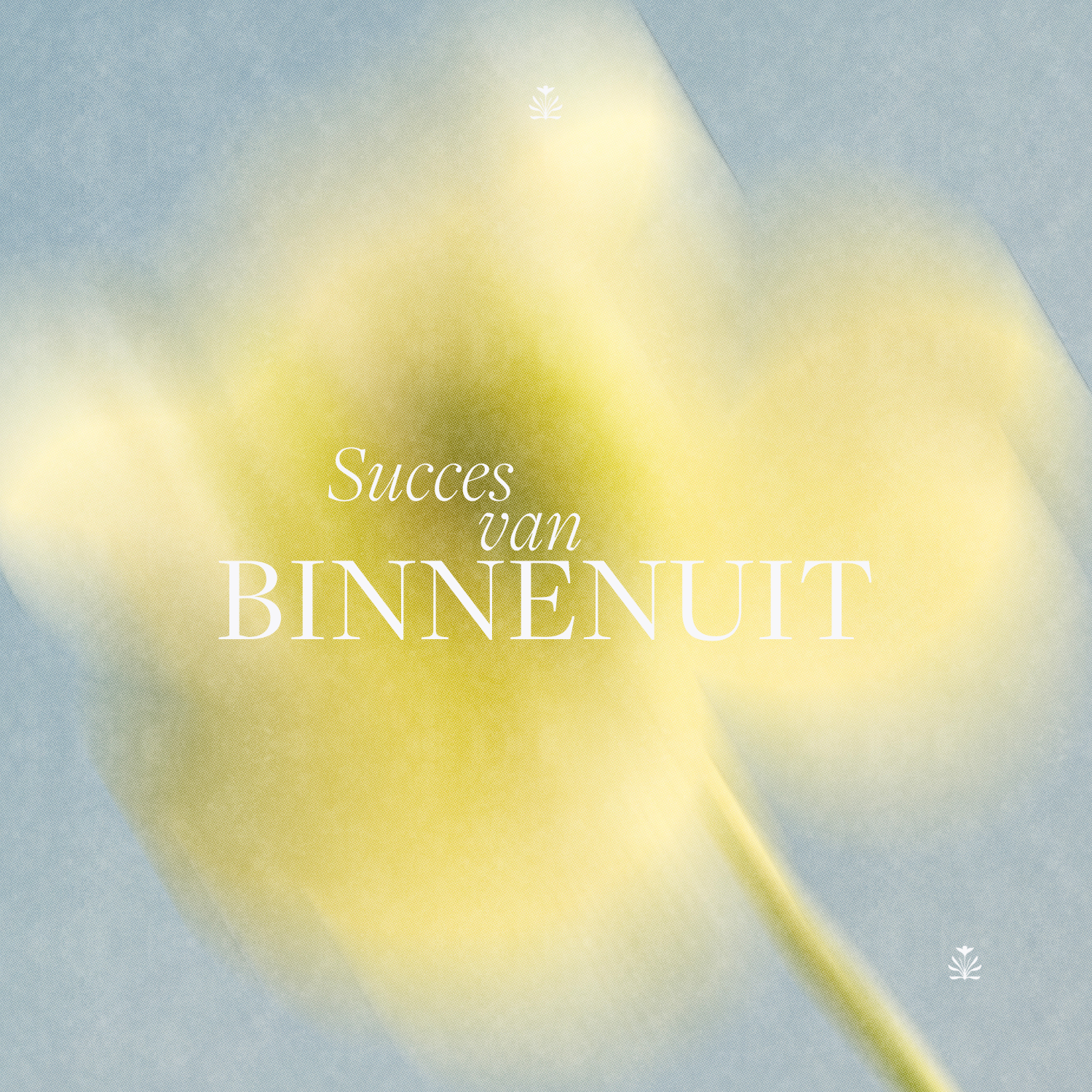 Transformatie coaching traject succes van binnenuit